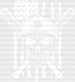 US Flag Skull Design - Baseball DTF Heat Transfer ready2transfer White