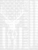 USA Flag Best Buckin' Dad Ever Father's Day DTF Transfer ready2transfer White