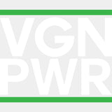 VGN PWR - Vegan DTF Transfers - Adult Unisex - S & M (10’’) / Light Color Design (See Imaging)