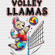 Volley Llamas, Red - Volleyball DTF Transfers ready2transfer Dark Color Design (See Imaging)