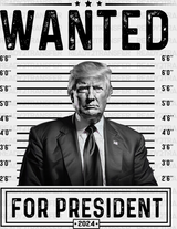 Wanted For President Election Dtf Transfer Adult Unisex - S & M (10’) / Black