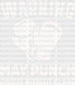 Warning May Punch - Boxing DTF Heat Transfer ready2transfer White