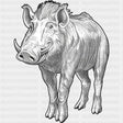 Warthog B&W - Animals DTF Transfers - Adult Unisex - S & M (10’’) / Dark Color Design (See Imaging)