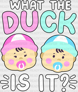 What The Duck Is It - Gender Reveal Dtf Heat Transfer Adult Unisex S & M (10’’) / Dark Color