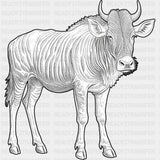 Wildebeest B&W - Animals DTF Transfers - Adult Unisex - S & M (10’’) / Dark Color Design (See Imaging)