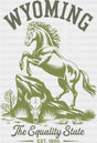 Wyoming The Equality State - States & Cities DTF Transfer