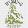 Wyoming The Equality State - States & Cities DTF Transfer ready2transfer