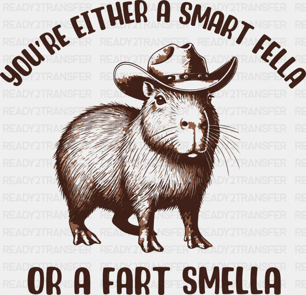 You're Either A Smart Fella Or A Fart Smella - Funny DTF Transfer