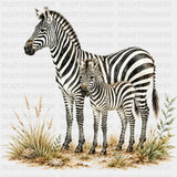 Zebra - Animals DTF Transfers