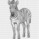 Zebra B&W - Animals DTF Transfers - Adult Unisex - S & M (10’’) / Dark Color Design (See Imaging)