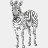 Zebra B&W - Animals DTF Transfers - Adult Unisex - S & M (10’’) / Light Color Design (See Imaging)