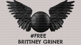 BRITTNEY GRINER DTF Transfer - ready2transfer